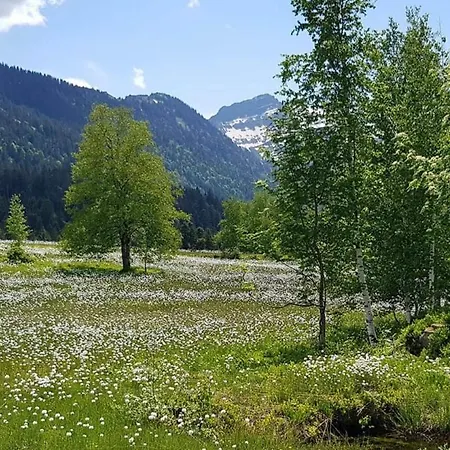 Apartament Moderne 3-zimmer-ferienwohnung Im Toggenburg *