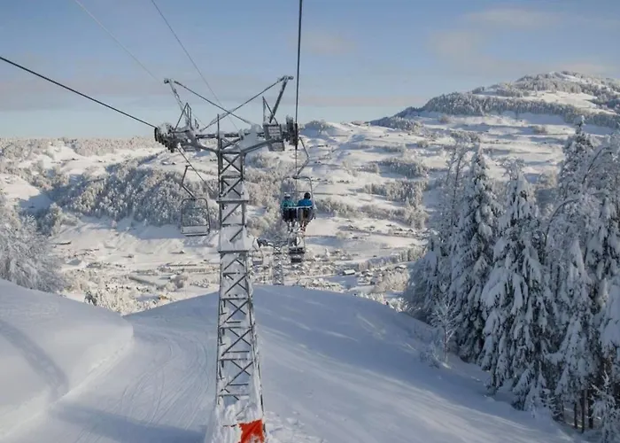 Apartman Moderne 3-zimmer-ferienwohnung Im Toggenburg