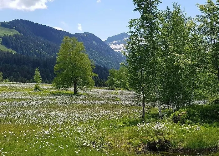Apartman Moderne 3-zimmer-ferienwohnung Im Toggenburg *