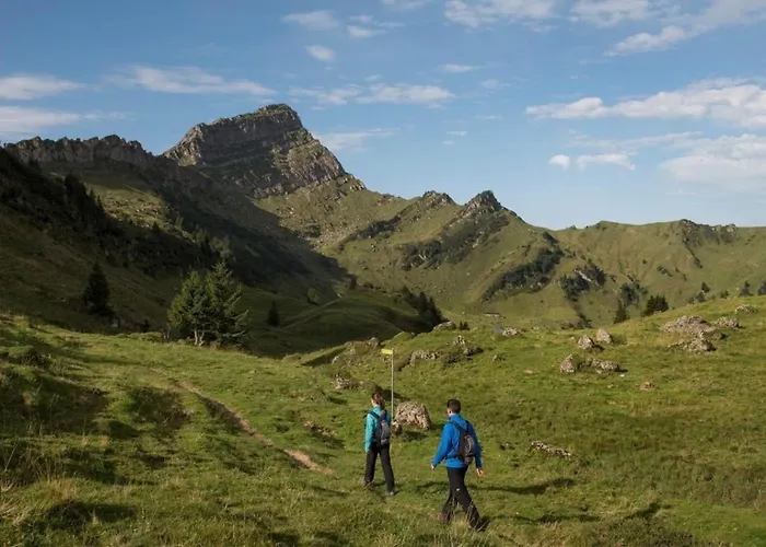 Moderne 3-zimmer-ferienwohnung Im Toggenburg