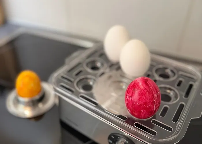 Moderne 3-zimmer-ferienwohnung Im Toggenburg Apartment