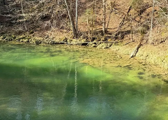 Moderne 3-zimmer-ferienwohnung Im Toggenburg Krummenau